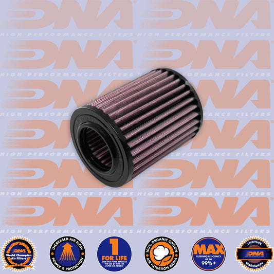 DNA Air filter - Himalayan 450